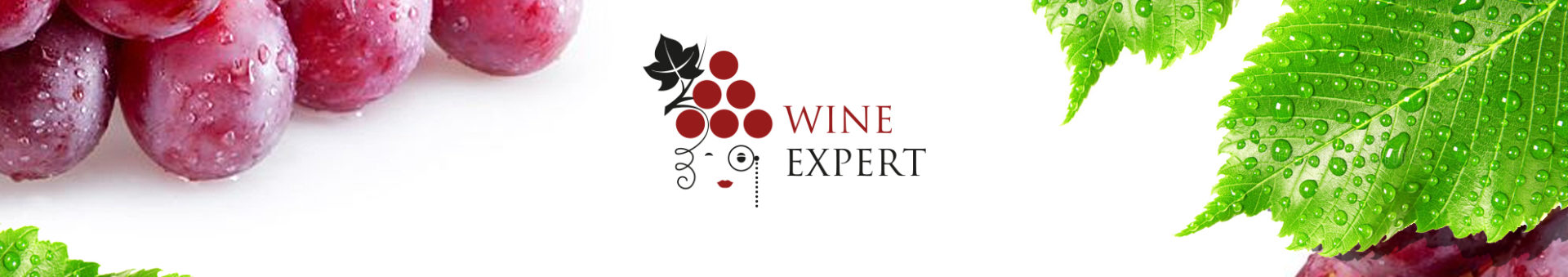Разработан логотип для винного эксперта
