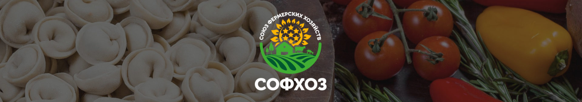 Разработка дизайна логотипа и бренд-бука компании «СОФХОЗ»