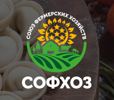 Разработка дизайна логотипа и бренд-бука компании «СОФХОЗ»